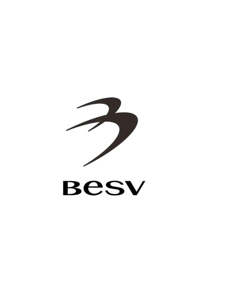 BESV